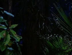 extant_HTLJ_1x13-UnchainedHeart_01035