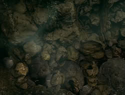extant_HTLJ_1x13-UnchainedHeart_01362