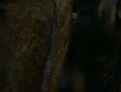 extant_HTLJ_1x13-UnchainedHeart_01537