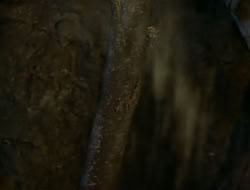 extant_HTLJ_1x13-UnchainedHeart_01538