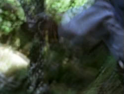 extant_HTLJ_1x13-UnchainedHeart_01938