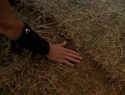 extant_HTLJ_1x13-UnchainedHeart_02275