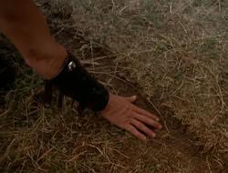 extant_HTLJ_1x13-UnchainedHeart_02276