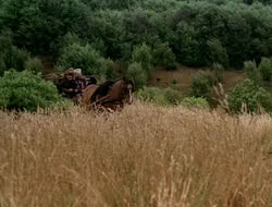 extant_HTLJ_1x13-UnchainedHeart_02306