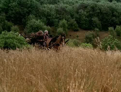 extant_HTLJ_1x13-UnchainedHeart_02308