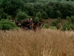 extant_HTLJ_1x13-UnchainedHeart_02309