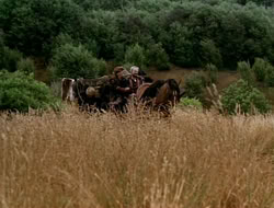 extant_HTLJ_1x13-UnchainedHeart_02312