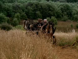extant_HTLJ_1x13-UnchainedHeart_02321