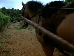 extant_HTLJ_1x13-UnchainedHeart_02435