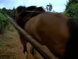 extant_HTLJ_1x13-UnchainedHeart_02436