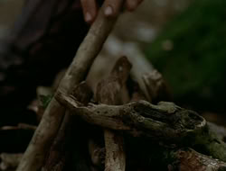 extant_HTLJ_1x13-UnchainedHeart_02497
