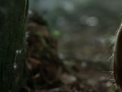 extant_HTLJ_1x13-UnchainedHeart_02685