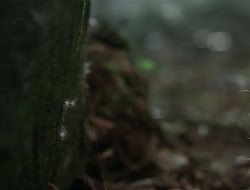 extant_HTLJ_1x13-UnchainedHeart_02686