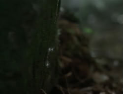 extant_HTLJ_1x13-UnchainedHeart_02687