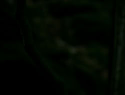 extant_HTLJ_1x13-UnchainedHeart_02694