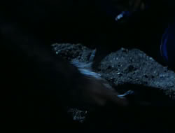 extant_HTLJ_1x13-UnchainedHeart_02965