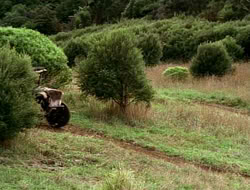 extant_HTLJ_1x13-UnchainedHeart_03005