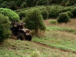 extant_HTLJ_1x13-UnchainedHeart_03006