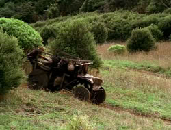 extant_HTLJ_1x13-UnchainedHeart_03007