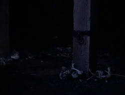 extant_HTLJ_1x13-UnchainedHeart_03395