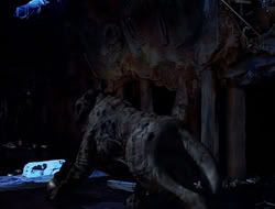 extant_HTLJ_1x13-UnchainedHeart_03409
