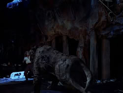 extant_HTLJ_1x13-UnchainedHeart_03412