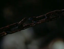 extant_HTLJ_1x13-UnchainedHeart_03489