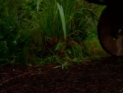 extant_HTLJ_2x05-Outcast_00975
