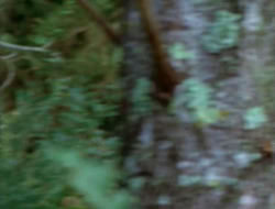 extant_HTLJ_2x05-Outcast_01057