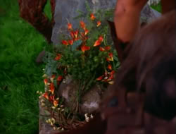 extant_HTLJ_2x05-Outcast_02292