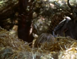 extant_HTLJ_2x05-Outcast_02704