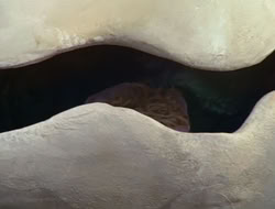 extant_HTLJ_2x17-TheApple_00524