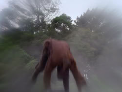 extant_HTLJ_2x17-TheApple_01053