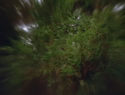 extant_HTLJ_2x17-TheApple_01054