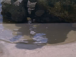 extant_HTLJ_2x17-TheApple_01210