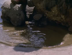 extant_HTLJ_2x17-TheApple_01213