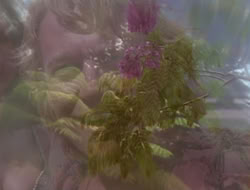 extant_HTLJ_2x17-TheApple_01294