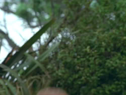 extant_HTLJ_2x17-TheApple_01886