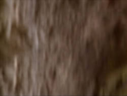 extant_HTLJ_2x17-TheApple_03469