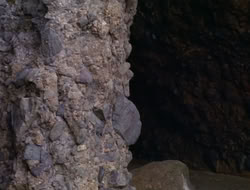 extant_HTLJ_2x17-TheApple_03628