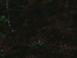 extant_HTLJ_3x03-LoveTakesAHoliday_01063