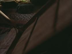 extant_HTLJ_3x03-LoveTakesAHoliday_02281