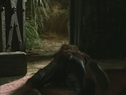 extant_HTLJ_3x03-LoveTakesAHoliday_02291