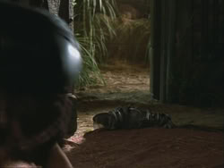 extant_HTLJ_3x03-LoveTakesAHoliday_02339