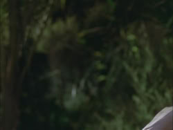 extant_HTLJ_3x03-LoveTakesAHoliday_04082