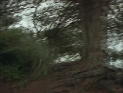 extant_HTLJ_3x03-LoveTakesAHoliday_04287