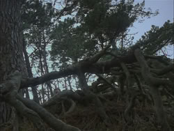 extant_HTLJ_3x03-LoveTakesAHoliday_04316