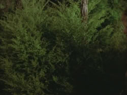 extant_HTLJ_3x03-LoveTakesAHoliday_04845