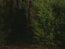 extant_HTLJ_3x03-LoveTakesAHoliday_04986