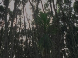 extant_HTLJ_3x07-TheGreenEyedMonster_00582